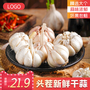 新鲜大蒜摆拍美味食材