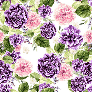 花卉图案紫色与粉色花朵无缝循环