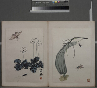 传统花鸟草虫国画局部