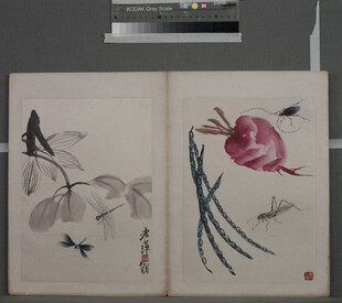 传统手绘花鸟蔬果图