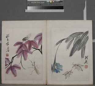 古画册花卉禽鸟图