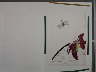 齐白石墙上装饰画中的蜻蜓与花朵