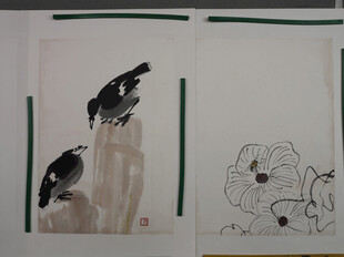 齐白石水墨花鸟画作展示