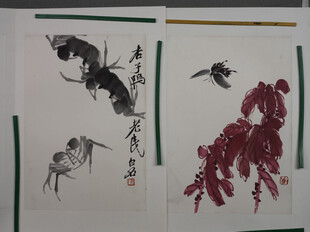 齐白石水墨花鸟虫绘画作品