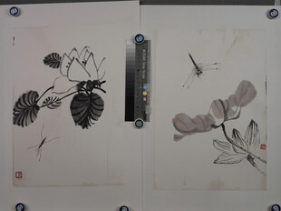 齐白石水墨花卉昆虫画作