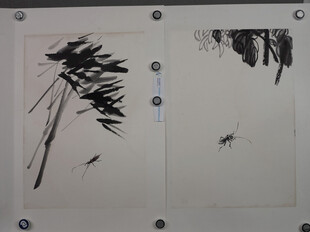 齐白石水墨写意竹叶画作