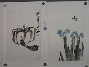 水墨蔬果花卉写意画作