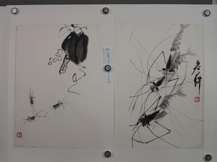 水墨虾画作品展示