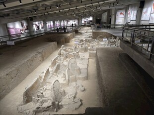 虢国博物馆车马坑展厅