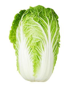 大白菜