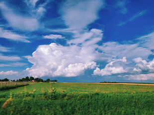 广袤绿野上的壮丽蓝天白云