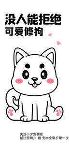 可爱坐姿小猫萌趣瞬间