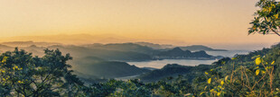 日出山林间的美丽景致