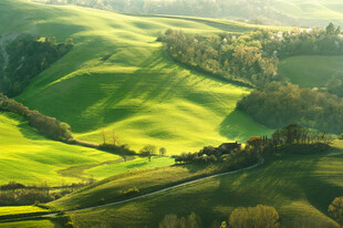 翠绿山丘田园风光美景