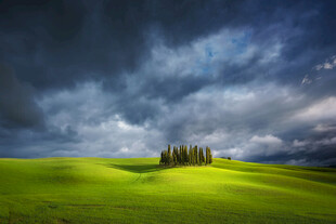 草原上的乌云与树木景观