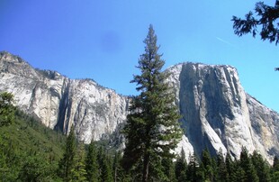 壮丽山峰与葱郁森林景观