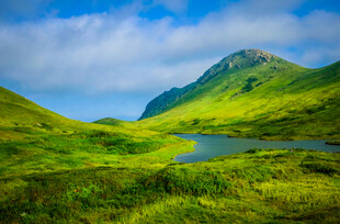 山间湖畔的翠绿美景
