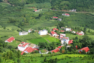 山间红顶村落风景