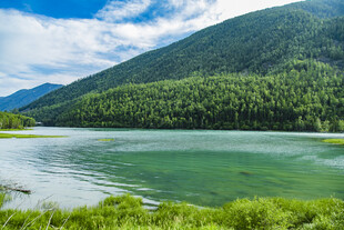 青山绿水间的宁静湖泊