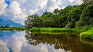 河畔绿野