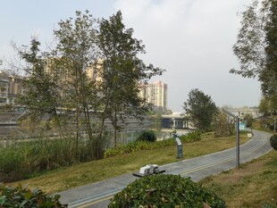 城市路边风景