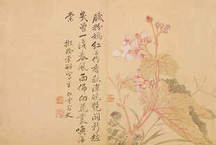 恽寿平水墨花卉图