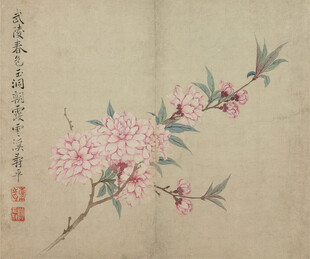 恽寿平水墨桃花图