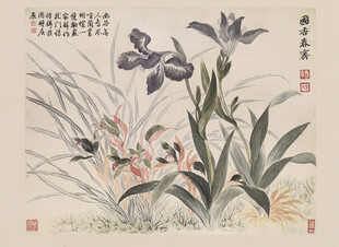 恽寿平水墨兰花图