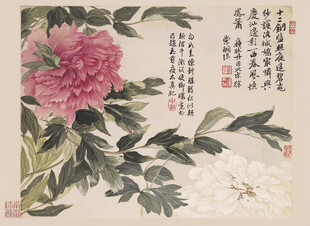 恽寿平国画牡丹图