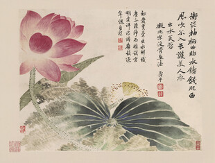恽寿平水墨荷花图