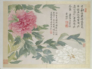 恽寿平国画牡丹花卉图