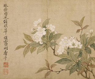 恽寿平水墨花卉图