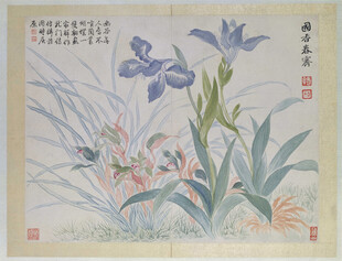恽寿平鸢尾花卉图