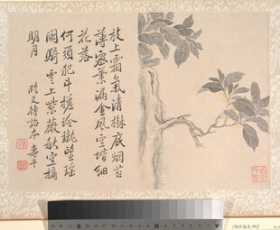 恽寿平水墨花卉书法合璧图