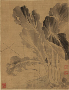 恽寿平水墨白菜图