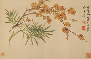 恽寿平花卉写生图
