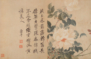 恽寿平水墨花卉图