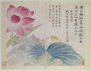 恽寿平水墨荷花图