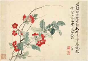 恽寿平水墨花卉图