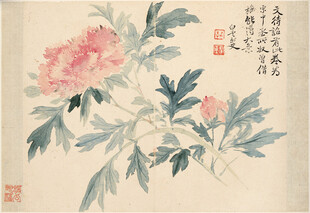 恽寿平国画牡丹花卉图