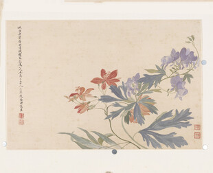 恽寿平中式花卉手绘图案