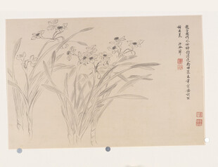 恽寿平水墨兰花图