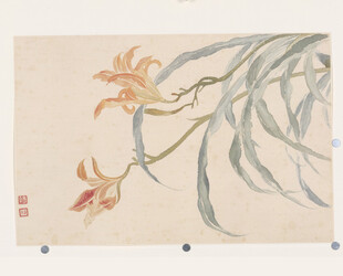 恽寿平水墨兰花图