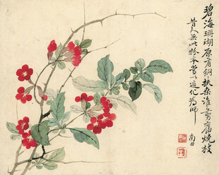 恽寿平国画红果图枝叶繁茂