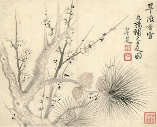 恽寿平墨梅松枝图