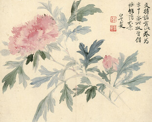 恽寿平水墨牡丹图