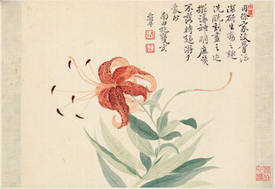 恽寿平水墨萱草图