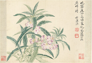 恽寿平水墨兰花图