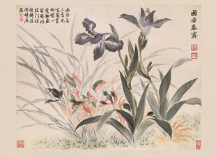 恽寿平水墨兰花图