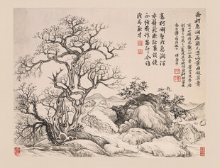 恽寿平水墨古松图
